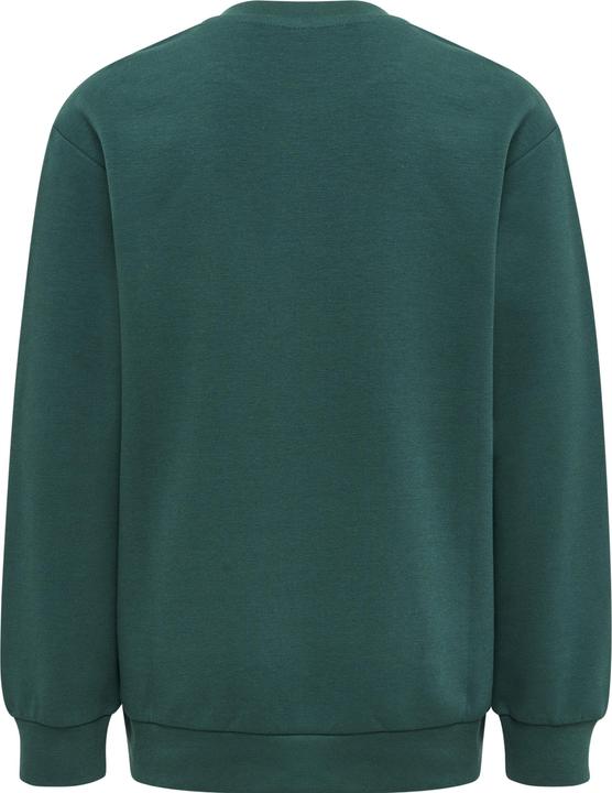 Image du produit hummel Dos Sweatshirt (116)