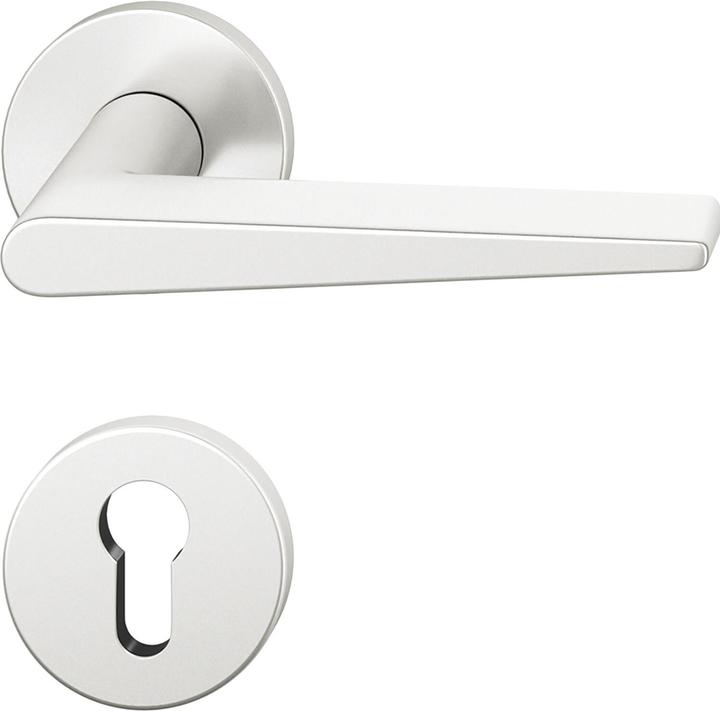 FSB Lever handle set 12 1005 ASL on rose PZ, silver anodised aluminium (Door set)