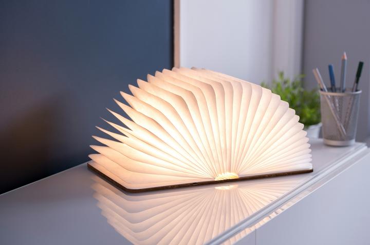 Image du produit Gingko Livre