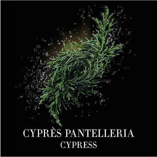 Image du produit Giorgio Armani Cyprès Pantelleria (Eau de toilette, 100 ml)