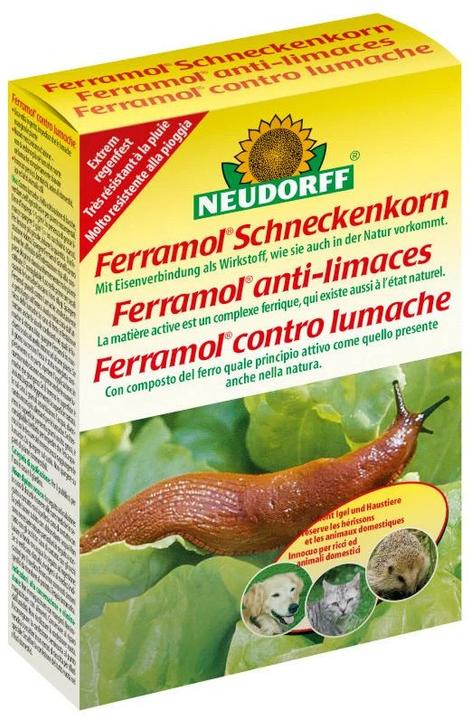 Neudorff Ferramol slug pellet (Escargots)