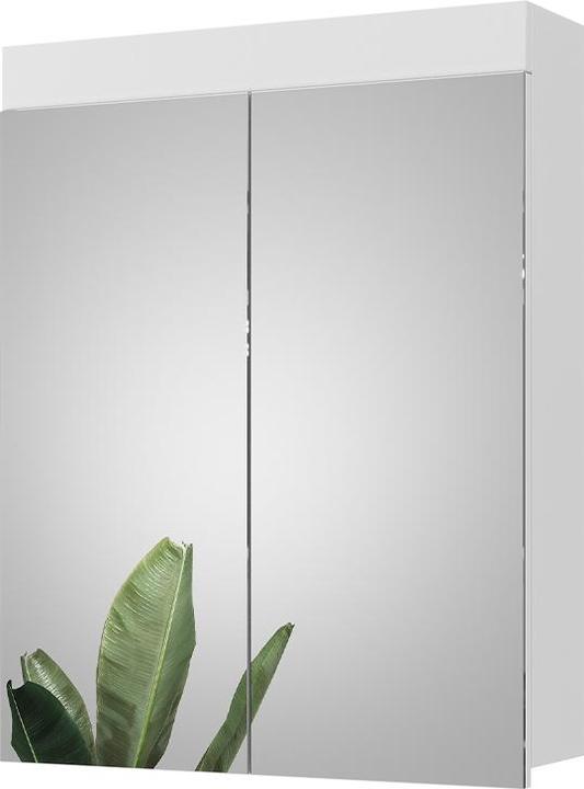 Vicco Luna (60 x 77 cm)