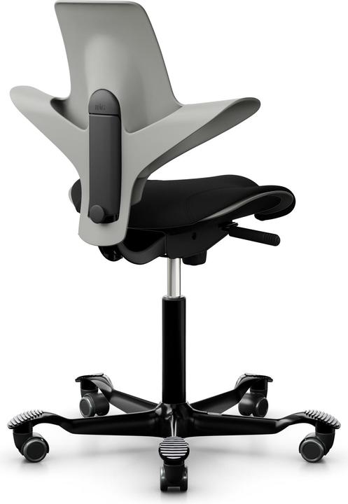 Actual product image HAG Capisco Pulse 8020