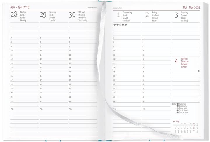 Produktbild Alpha Edition Campustimer Blowballs 2024/2025 Semester-Planer, 9x15,6cm, 10x15cm, Kalender mit (15 x 21 cm, Deutsch)