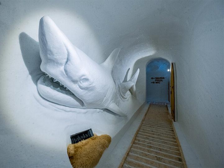 Image du produit Smartbox Visite Deluxe d’un village igloo à Davos Klosters et fondue pour 2 (2 pers.)