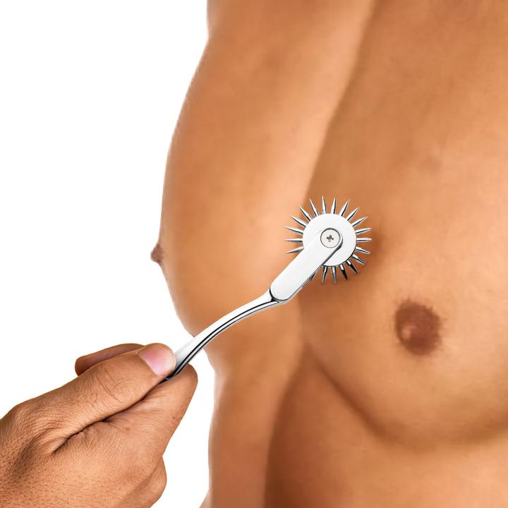Actual product image Master Series XR Brands - Wartenberg Wheel - Silver
