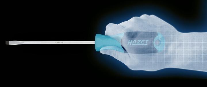 Image du produit HAZET Porte-embouts (bits) 811BMK ∙ Hexagone creux 1/4 pouce (6,3 mm) ∙ 80 mm (80 mm)