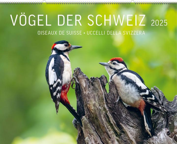 Produktbild Vögel der Schweiz 2025
