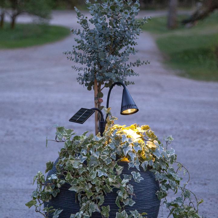 Produktbild Star Trading Solar Spotlight Powerspot (20 lm, IP44)