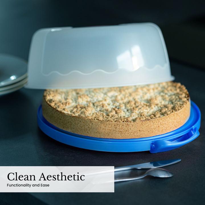 Actual product image Intirilife Cake transport container