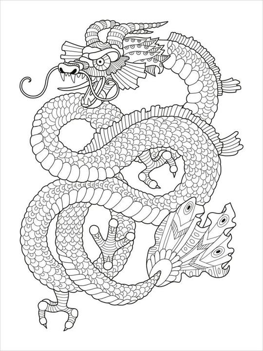 Image du produit Mon livre de coloriage d'animaux Mandala - Animaux magiques