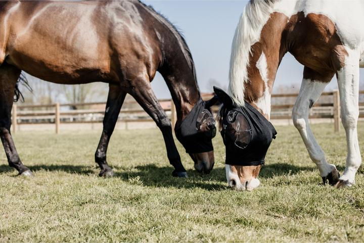 Actual product image Kentucky Horsewear Fly mask Slim Fit
