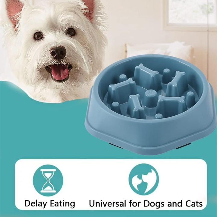 Image du produit Out of the blue Écuelle pour chien anti-échec Slow Feeder