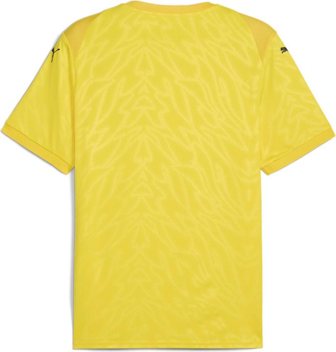 Image du produit Puma teamCUP Jersey (S)
