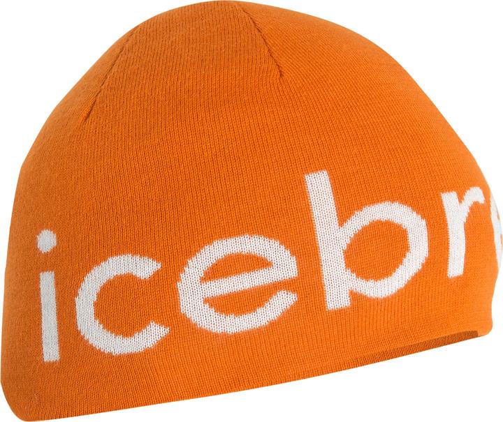 Produktbild Icebreaker U Mer Beanie (One Size)