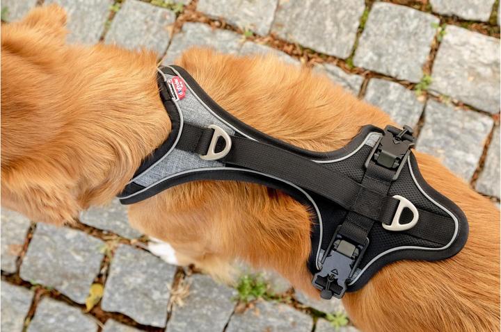 Produktbild Curli Geschirr Magnetic Belka Comfort (XL, Hund, Allgemein, Spazieren)