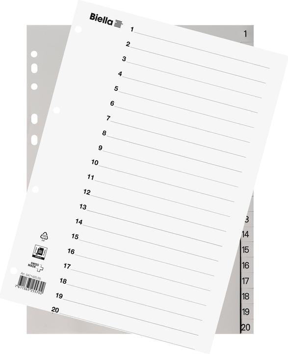 Image du produit Biella Index en taille réelle en PP, gris clair, avec feuille d'index