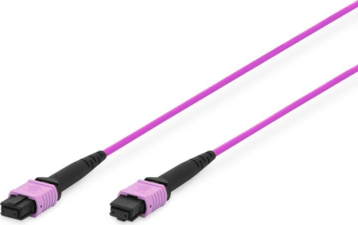 Produktbild Digitus MPO Patchkabel, OM4, 1m (LSOH, CAT6, 1 m)