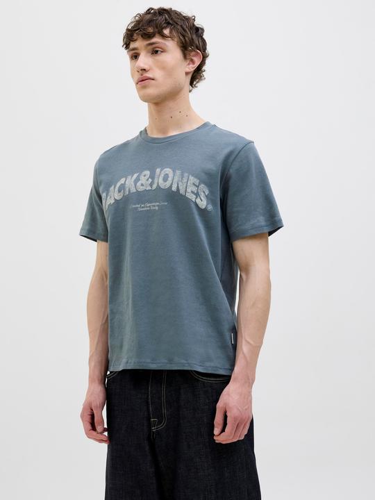 Image du produit Jack & Jones Joralmeria Bold Branding Tee Ss Cn Ln (S)