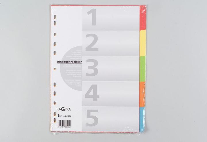 Actual product image Pagna Cardboard register for A4 - coloured
