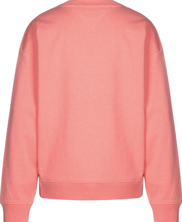 Actual product image Tommy Hilfiger Tommy Jeans Rlxd Gym Sweater - 88837 (L)