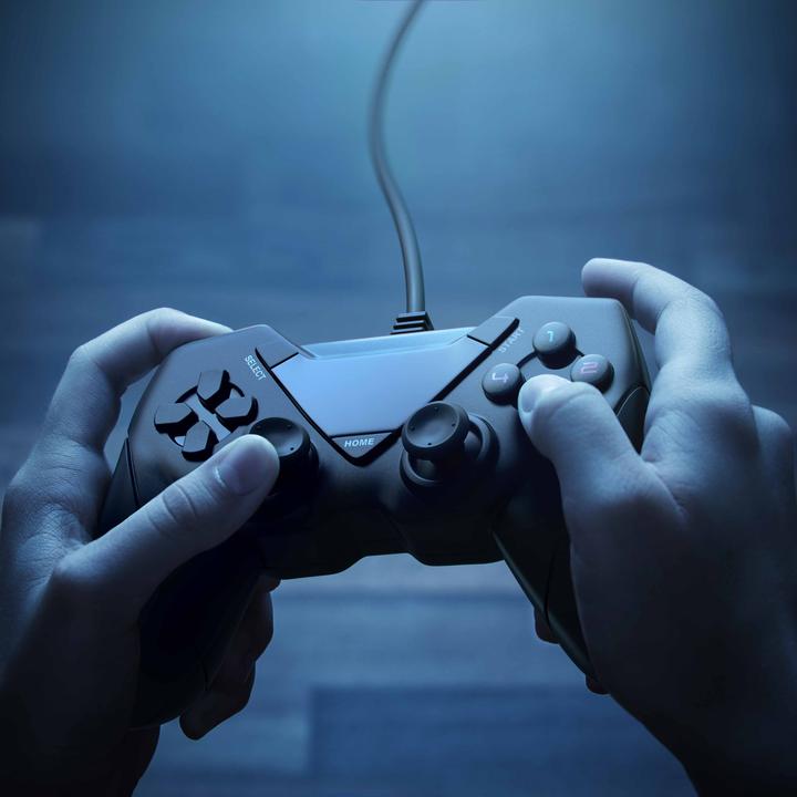 Actual product image CSL Gamepad, USB Controller for Android, PC / PS3 / Direct-Input / X-Input (Android, PS3, PC)