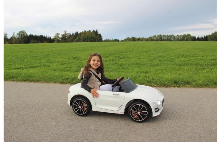 Productafbeelding Jamara Bentley EXP12 (12 V)