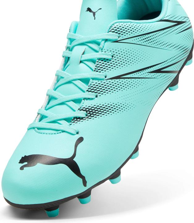 Produktbild Puma Attacanto FG/AG (43)