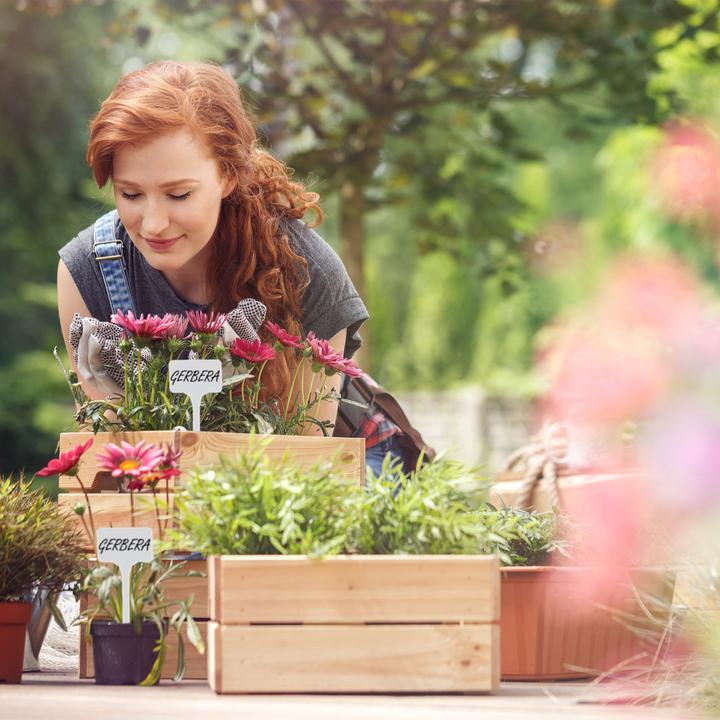 Actual product image Relaxdays Plant Labels, Pack of 100 (0.20 cm, 5.50 cm)