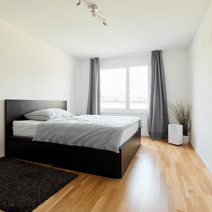 Image du produit ecofort ecoQ 12L Essential (30 m², 12 l/24h)
