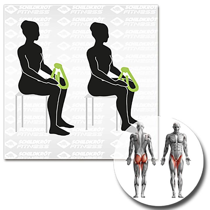 Produktbild Schildkröt Beintrainer