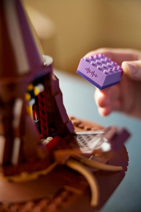Actual product image LEGO The Talking Hat (76429, LEGO Harry Potter)
