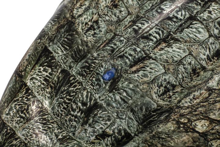 Immagine prodotto Bestway Realistic Reptile Ride On 193x94cm