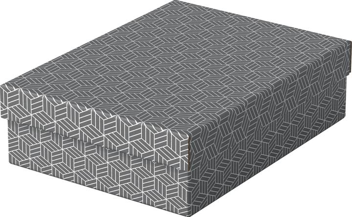 Image du produit Leitz Accueil Esselte (A4)