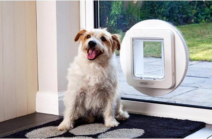 Immagine prodotto SureFlap Porta per gatti XXL (Zampa per gatti con microchip)
