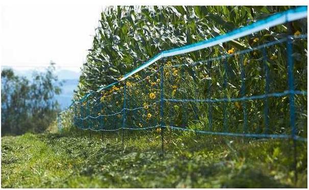 Actual product image Kerbl WildNet wild boar repellent net Length: 50 m