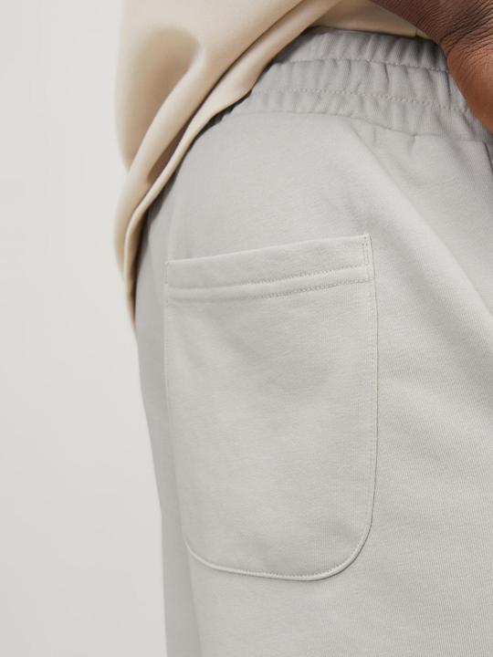 Actual product image Jack & Jones Jpstkane Vesterbro Sweat Shorts Mid Sn (XS)