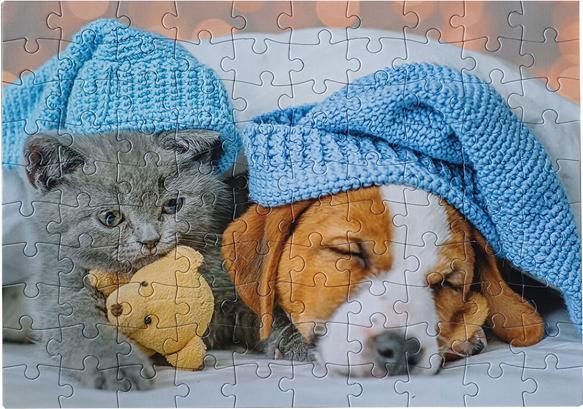 Image du produit Selecta Spielzeug Puzzle Gentil chaton et chien endormi, 100 pièces. (100 pièces)