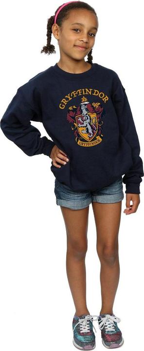 Produktbild Gryffindor (152, 158)