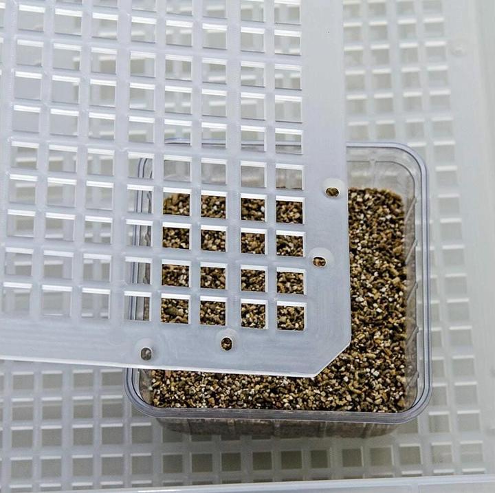 Produktbild Hobby Easy Breeder Inkubator, 48 x 25 x 51 cm