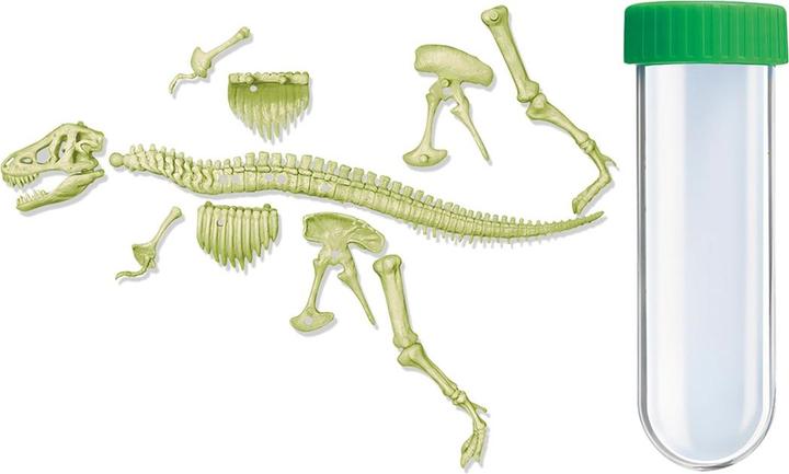 Produktbild 4M Leuchtendes T-Rex Skelett (Deutsch, Französisch, Englisch)