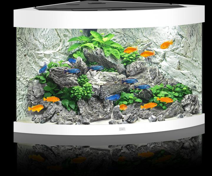 Image du produit Juwel Aquarium Aquarium Trigon 190 98.5x59.5x70cm blanc (190 l)