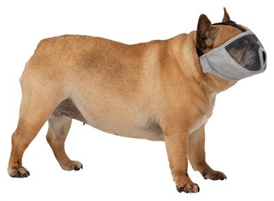Produktbild Trixie Maulkorb XS–S 15cm (XS, S, Hund, Hundesport)