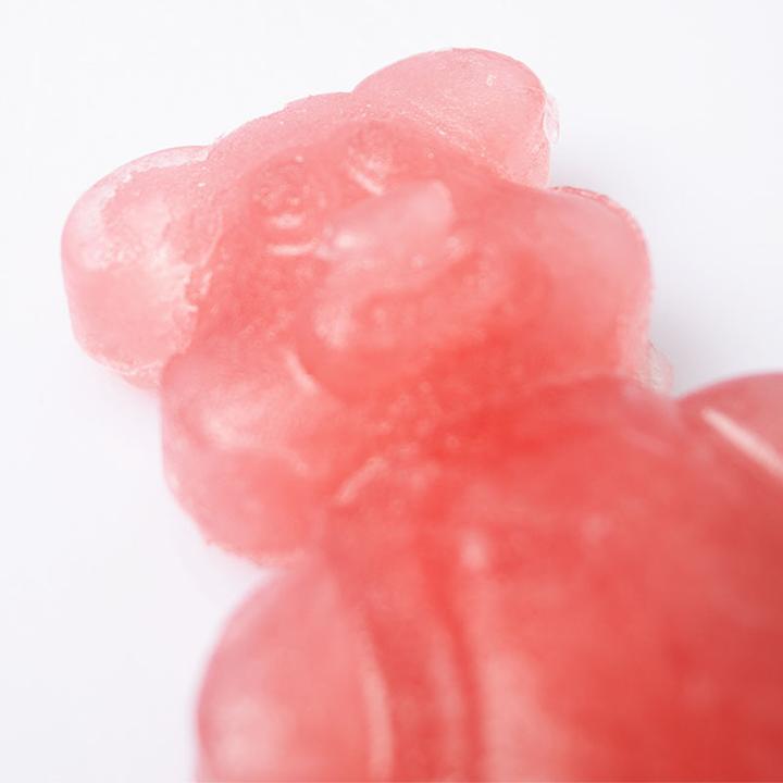 Produktbild Martellato Glacé Förmchen Hund
