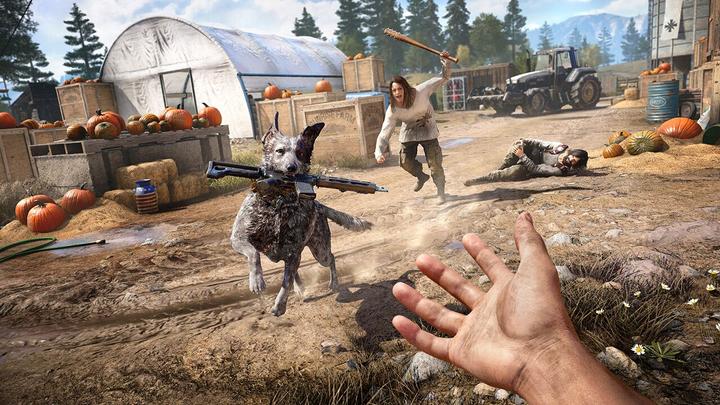 Image du produit Ubisoft Far Cry 5 (PS4, EN)