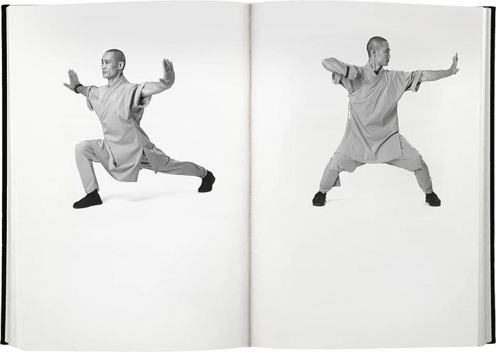 Actual product image Shaolin Spirit (German, Shi Heng Yi, Stefanie Koch, 2023)