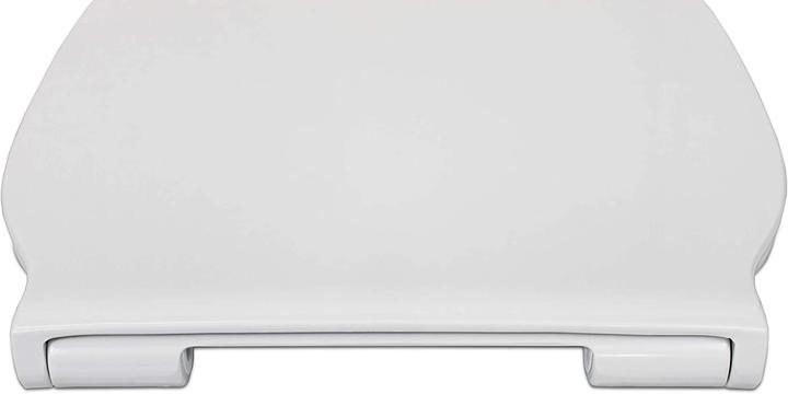 Actual product image Ideal Standard WC seat E036601