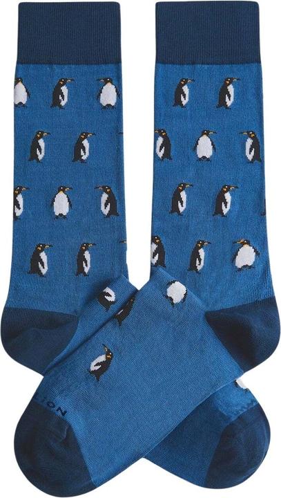 Jimmy Lion Penguins (41 - 46)