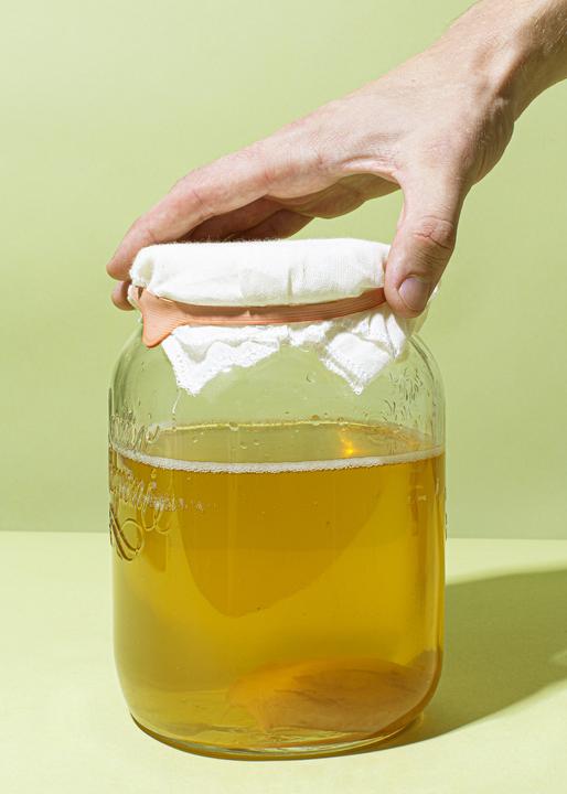 Immagine prodotto KoRo Scoby di kombucha (1 x 20 cl)