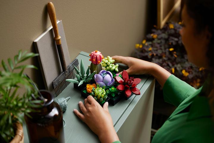 Actual product image LEGO Succulents (10309, LEGO Botanical, LEGO Rare Sets)